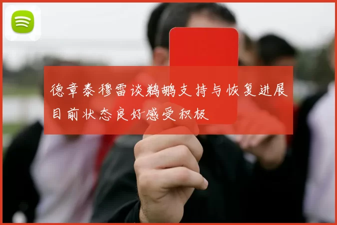 德章泰穆雷谈鹈鹕支持与恢复进展目前状态良好感受积极