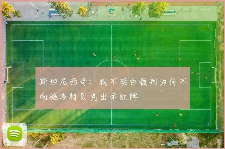 斯坦尼西奇：我不明白裁判为何不向施洛特贝克出示红牌